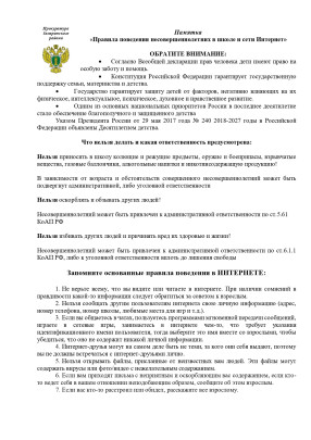 Правила поведения несовершеннолетних в школе и сети Интернет Правила поведения несовершеннолетних в школе и сети Интернет.